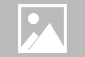 榆阳区疫情病例轨迹图查询:榆阳区疫情病例轨迹图查询最新